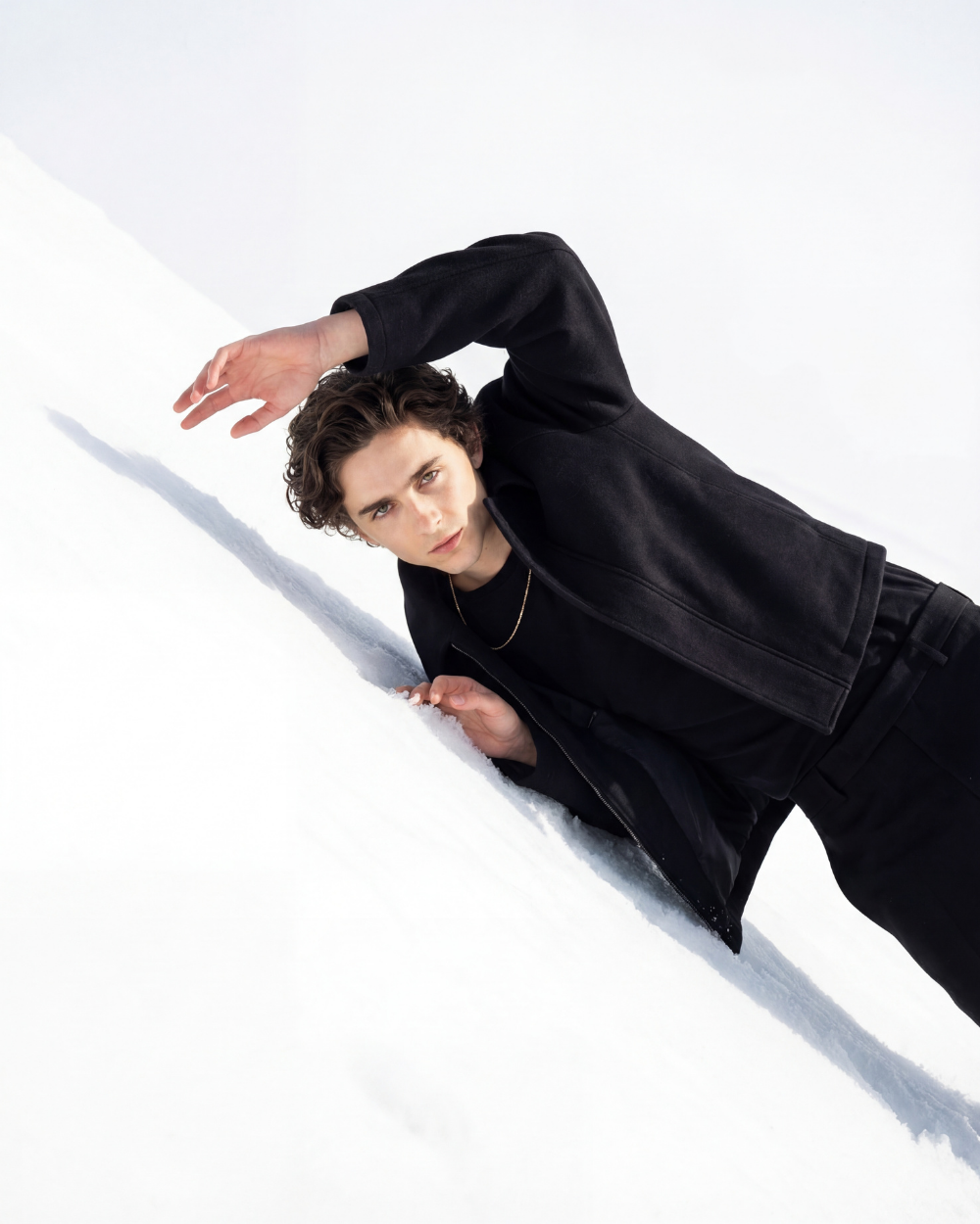 Suédine Chalamet Jacket